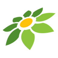 PROGRAM AFFILIATE TOKOPEDIA